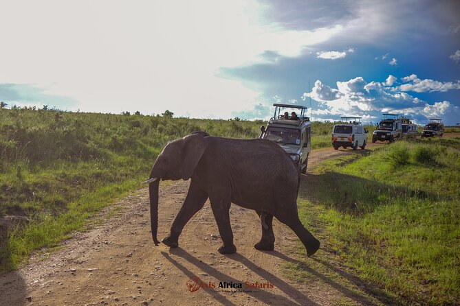 4 Days Safari Adventure Masai Mara and Nakuru Park Group - Day one: Nairobi to the Masai Mara