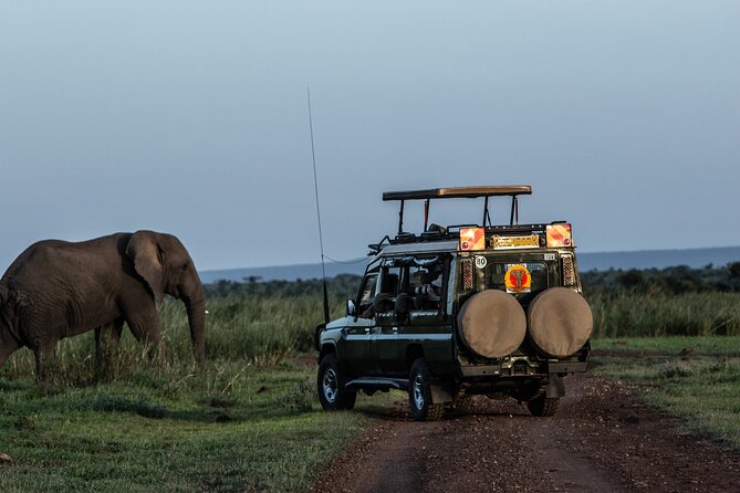 4 Days Safari from Mombasa to Amboseli and Tsavo West and East - Why This Mombasa Safari Works