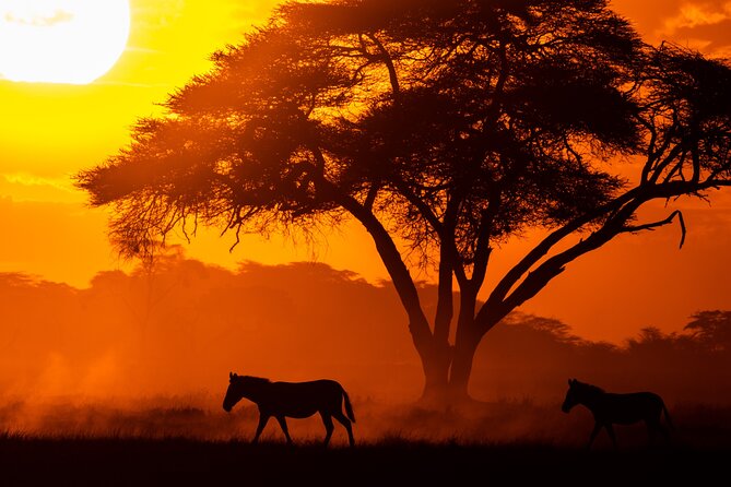 4 Days Safari from Mombasa to Amboseli and Tsavo West and East - Price and What the $1,600 Covers