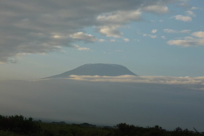 4 Days Safari to Amboseli N/P, Tsavo East N/P. - Booking advice and cancellation terms