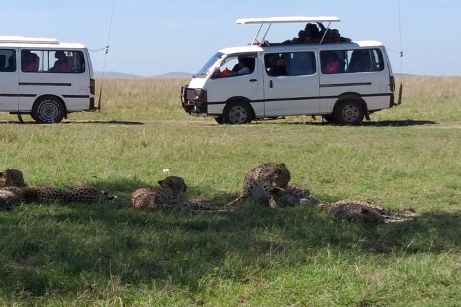 4 Days Small Group Maasai Mara and Lake Nakuru Safari - Meals, lodging, and the simple safari standard