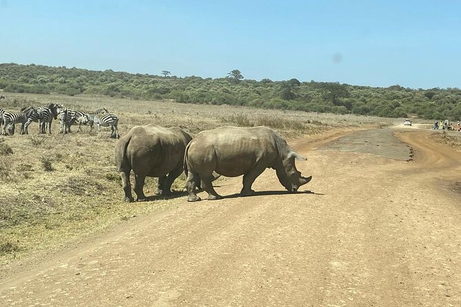 4 Days Tour Landcruiser in Masai Mara and Lake Nakuru - Who will enjoy this safari most