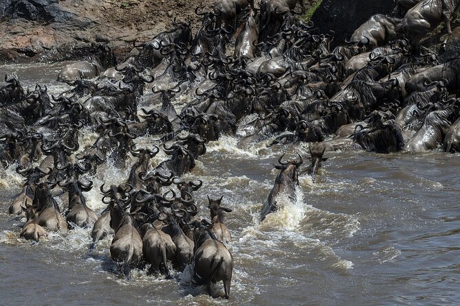4 Days wildebeest lake nakuru masai mara safari - Why Lake Nakuru is a strong first stop