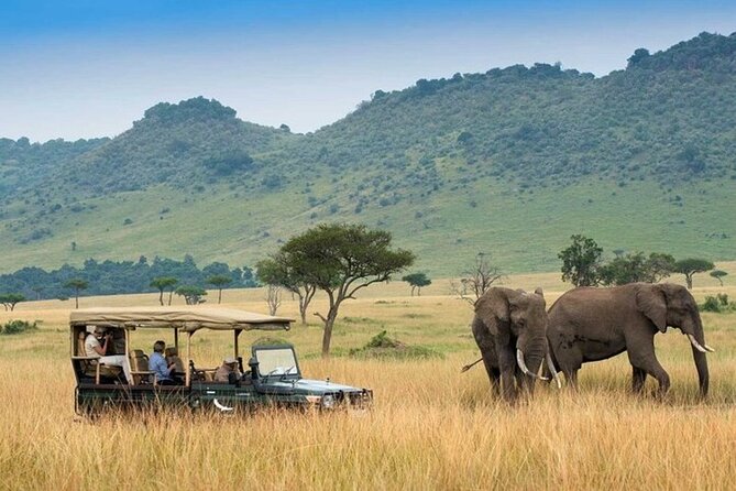 4day Maasai Mara, Lake Nakuru, and Lake Naivasha - Key points at a glance