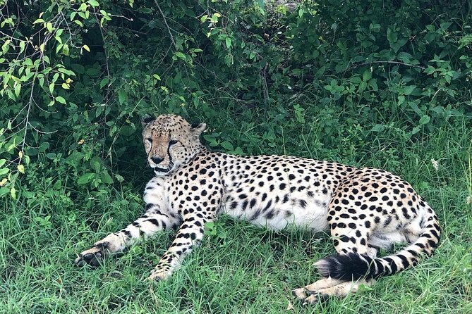 4day Maasai Mara, Lake Nakuru, and Lake Naivasha - Day 1: The Great Rift Valley before Maasai Mara