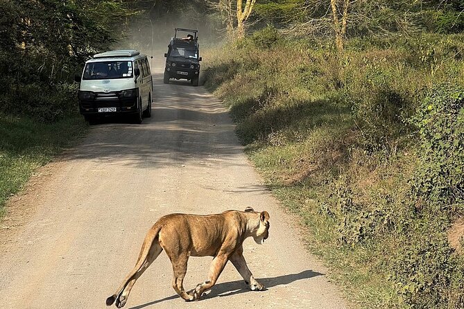 4day Maasai Mara, Lake Nakuru, and Lake Naivasha - Who should book this safari