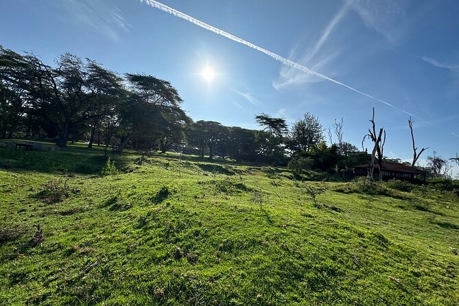 4day Maasai Mara, Lake Nakuru, and Lake Naivasha - Day 2: A full day across Maasai Mara
