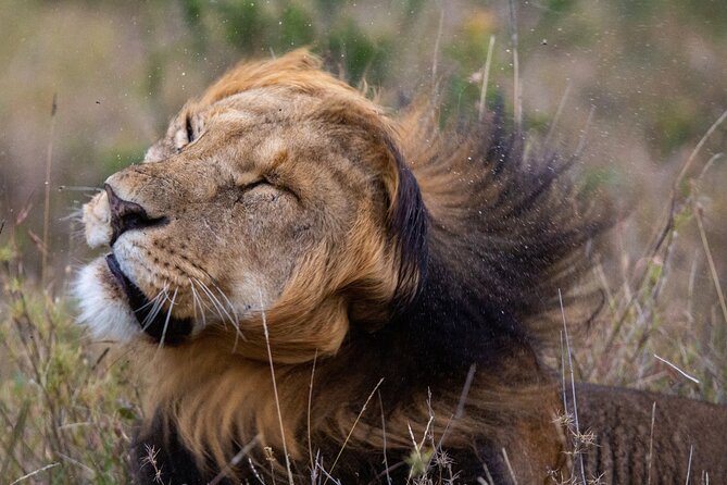 5-Day Lakes and Masai Mara Plains 4 x 4 Safari - Why this five-day route works