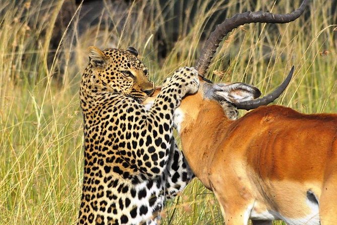 5-Day Lakes and Masai Mara Plains 4 x 4 Safari - Is $2,650 a fair price?