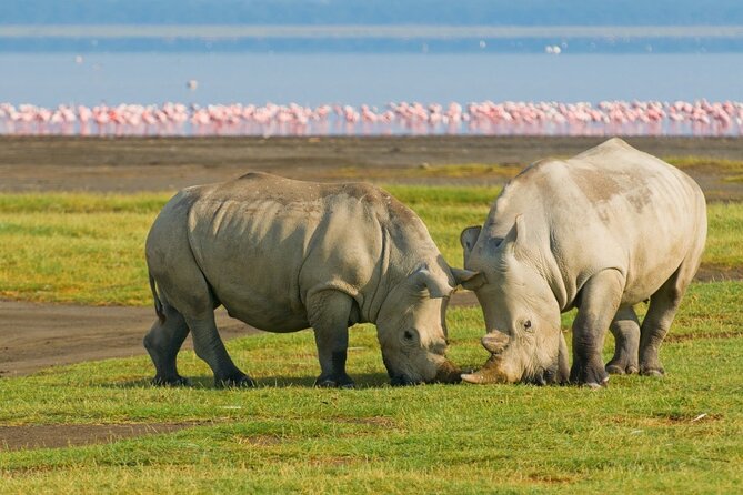 5-Day Masai Mara Lake Nakuru and Naivasha Small-group Safari Tour - Lake Naivasha and the quieter side of Kenya
