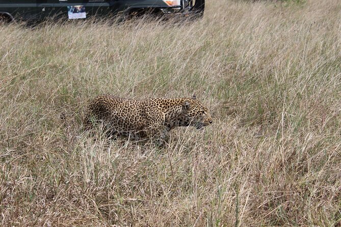 5-Day Private Tour in Kenya's Best Game Parks - Why this route works in only five days