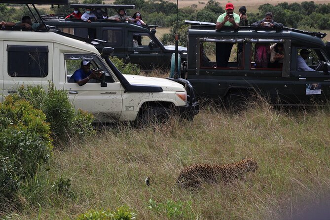 5-Day Private Tour in Kenya's Best Game Parks - What the $1,425 price means
