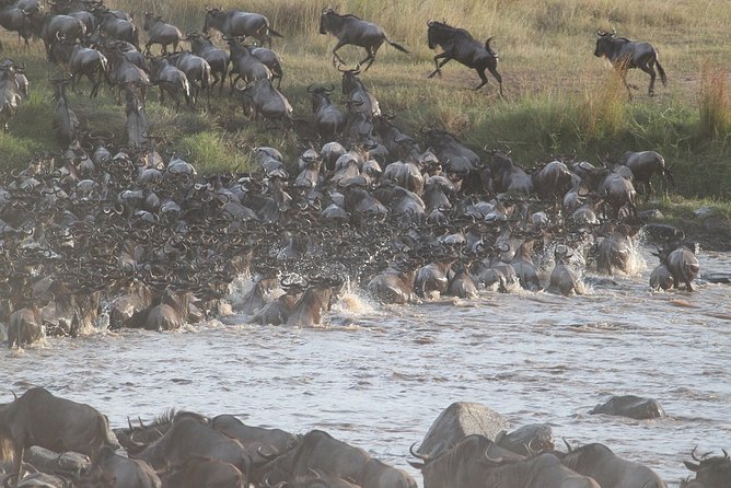 5 Days/4 Nights Kenya Safari - Three parks, three very different Kenya experiences