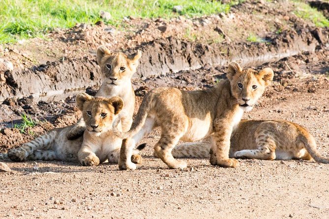 5 Days/4 Nights Kenya Safari - Day 3: The Rift Valley, Lake Naivasha, and Lake Nakuru