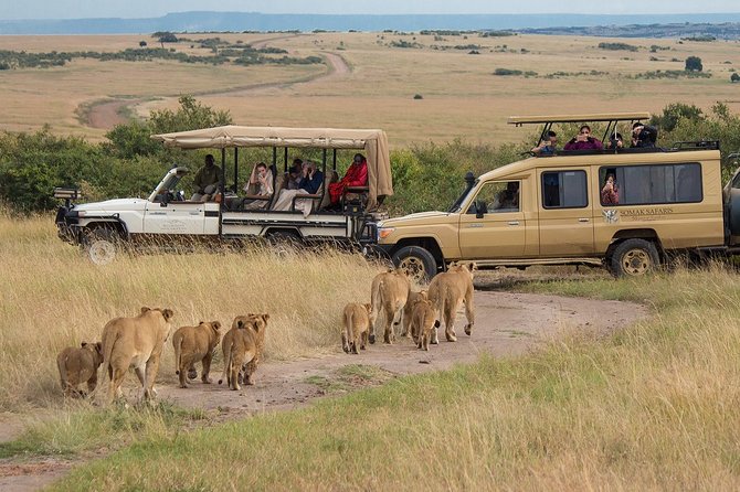 5 Days/4 Nights Kenya Safari - Day 5: Amboseli and Mount Kilimanjaro