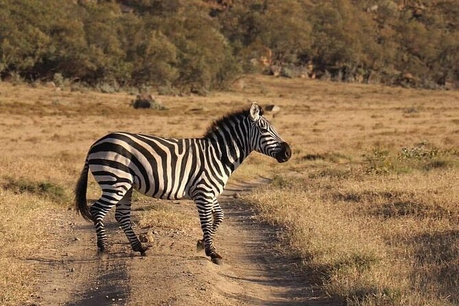 5 Days Budget Safari To Masai Mara, Lake Nakuru and Lake Naivasha - Day Two: A Full Maasai Mara Safari Day