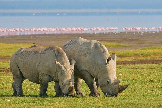 5 Days Budget Safari To Masai Mara, Lake Nakuru and Lake Naivasha - Day One: Nairobi to Maasai Mara via the Great Rift Valley