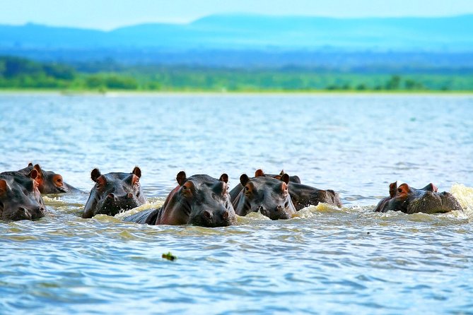 5 Days Hell's Gate, L. Naivasha, L. Nakuru & Masai Mara Luxury Safari - Key points to know before booking
