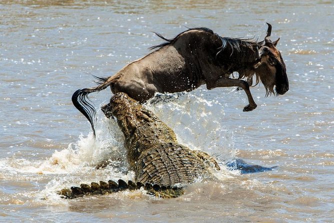 5 Days Hell's Gate, L. Naivasha, L. Nakuru & Masai Mara Luxury Safari - Day 2: Lake Naivasha, Hell’s Gate, and optional outings