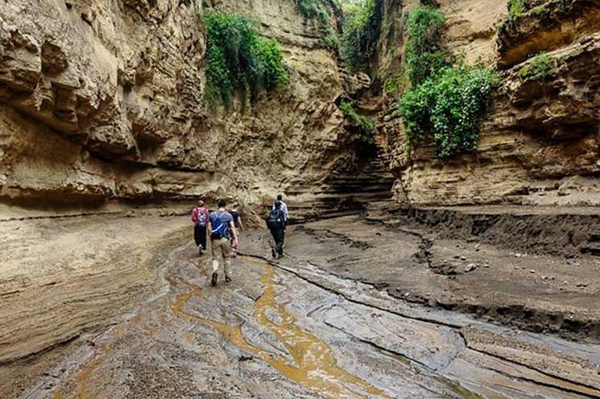5 Days Hell's Gate, L. Naivasha, L. Nakuru & Masai Mara Luxury Safari - Day 4: A full day among the Mara’s big cats