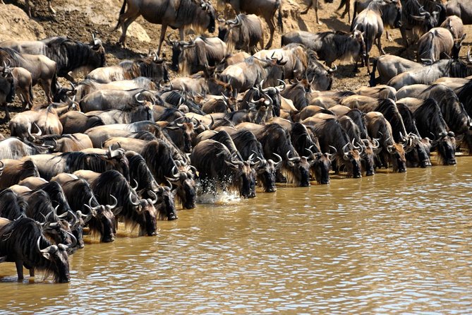 5 Days Hell's Gate, L. Naivasha, L. Nakuru & Masai Mara Luxury Safari - Transport, group size, and the daily pace