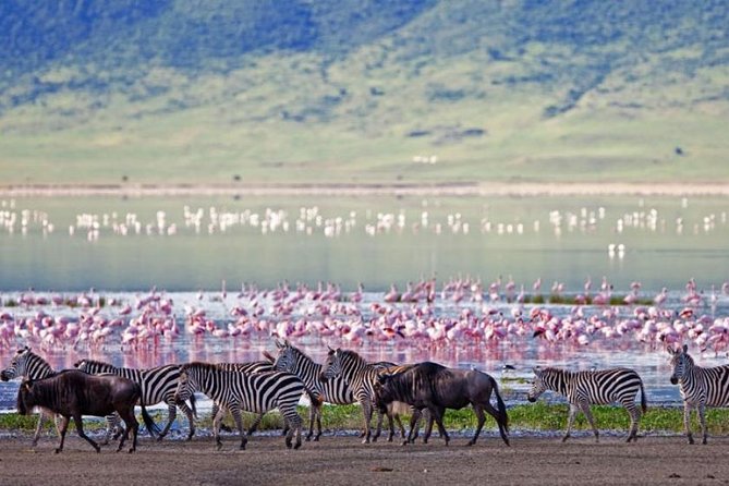 5 Days Kenya Masai Mara and Lake Nakuru Private Tour - Day 3: More Mara time through the Mara Triangle