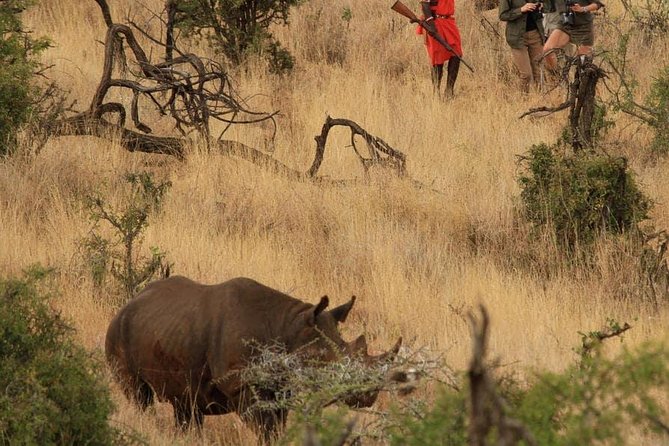 5 Days Kenya Masai Mara and Lake Nakuru Private Tour - Day 5: Final wildlife search before Nairobi