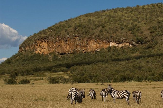 5 Days Maasai mara, Lake Nakuru, samburu private lodge safari - Three Kenyan reserves in five demanding days