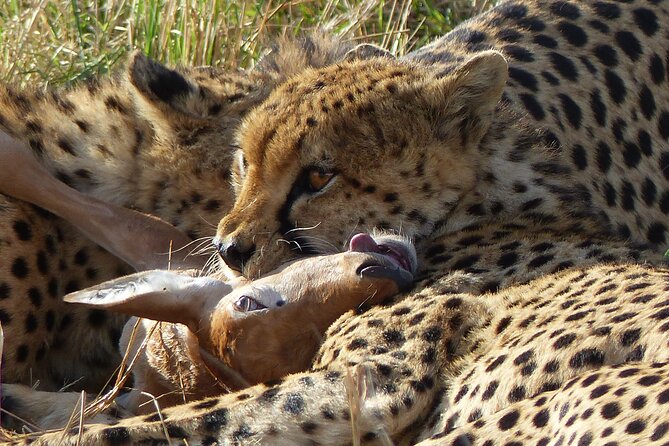 5 Days Magical Kenya Safari Private Tour - Day three: Road to the Maasai Mara
