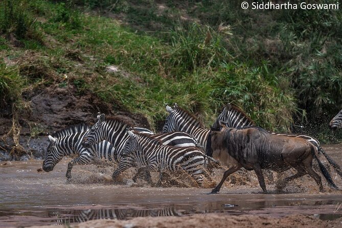 5 days Masai Mara Wildebeest migration safari - Day 2: The road to the Masai Mara