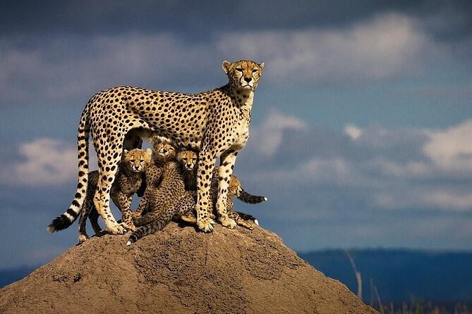 5 Days Mombasa,Tsavo East, Taita Salt Lick, Tsavo West, Amboseli, - What the $2,575 price means