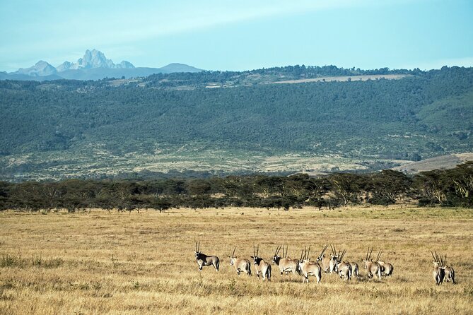5 Days Mount Kenya Climbing Via Chogoria Sirimone Route - What the $1,600 price includes