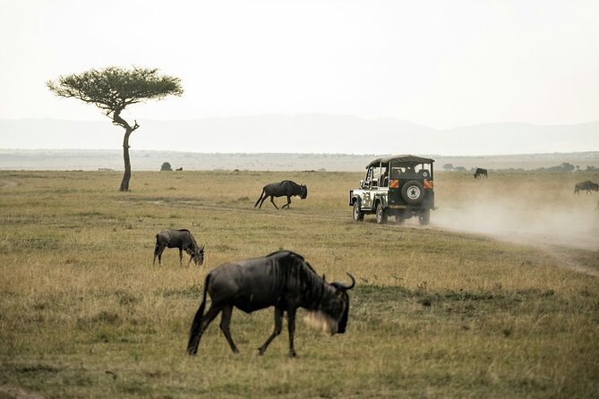 5 Days of Kenyan Magic: A Whirlwind Safari Adventure - Day 5: Lake Naivasha and the return to Nairobi