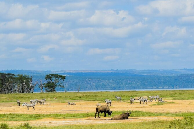 5 Days of Kenyan Magic: A Whirlwind Safari Adventure - What the $1,800 price covers