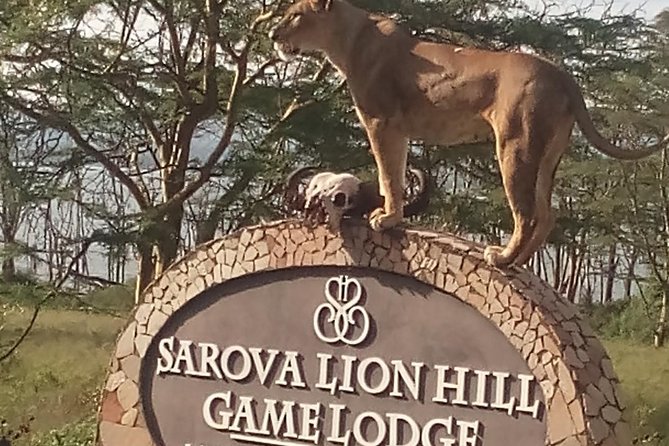 5 Days Safari to Aberdare N/P, Nakuru N/P and Maasai Mara N/R. - Three parks, three very different Kenya experiences