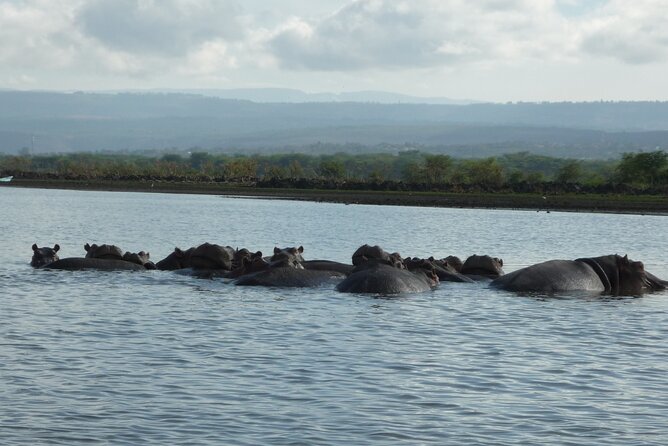5 Days Safari to Amboseli N/P, Lake Naivasha, Maasai Mara N/R. - Day 1: elephants and Kilimanjaro in Amboseli