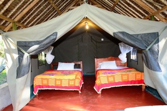 5 Days safari to Maasai Mara ,Lake Nakuru and Hell's gate national park - Why Maasai Mara gets most of your attention
