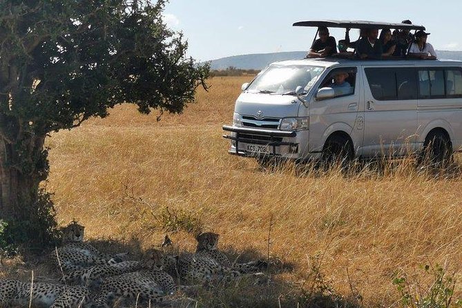 5 Days safari to Maasai Mara ,Lake Nakuru and Hell's gate national park - The Great Rift Valley viewpoint near Mai Mahiu