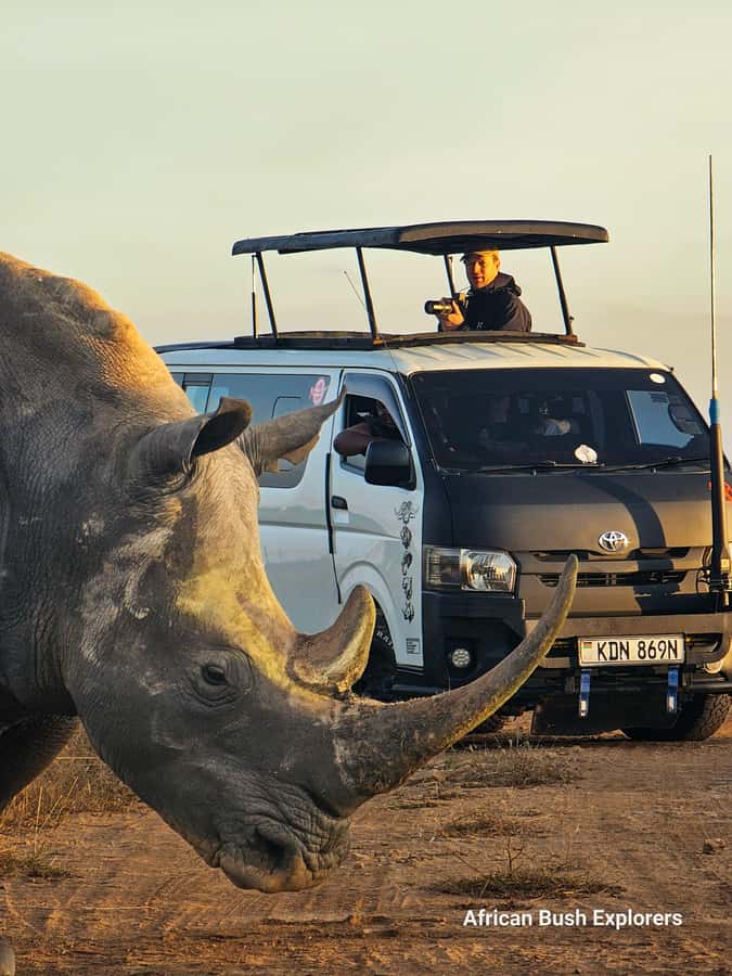 5-Hour Nairobi National Park 4x4 Safari with Free Pickup - Key points at a glance