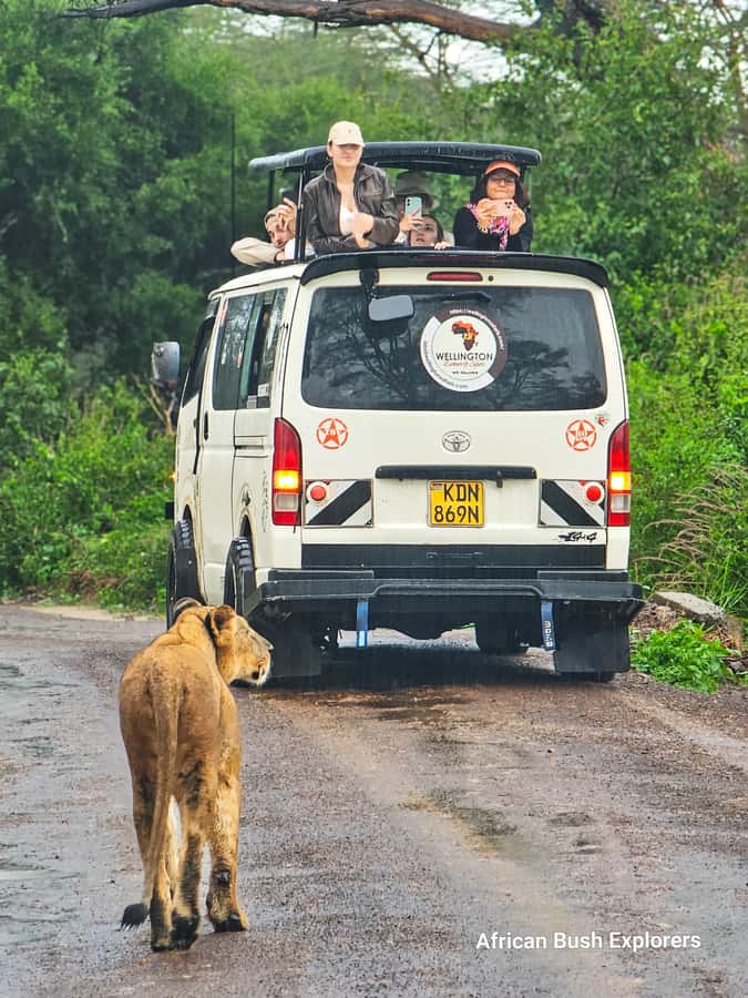 5-Hour Nairobi National Park 4x4 Safari with Free Pickup - What you may see, and what you may miss