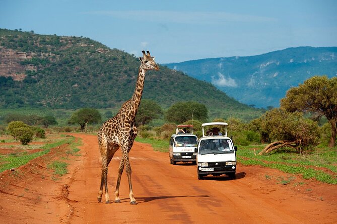 5days Tour Tsavo East & west, Amboseli from Mombasa / Nairobi - The vehicle days and the private format