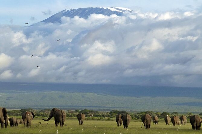 5days Tour Tsavo East & west, Amboseli from Mombasa / Nairobi - Day 1: Tsavo East and the road to Voi Safari Lodge