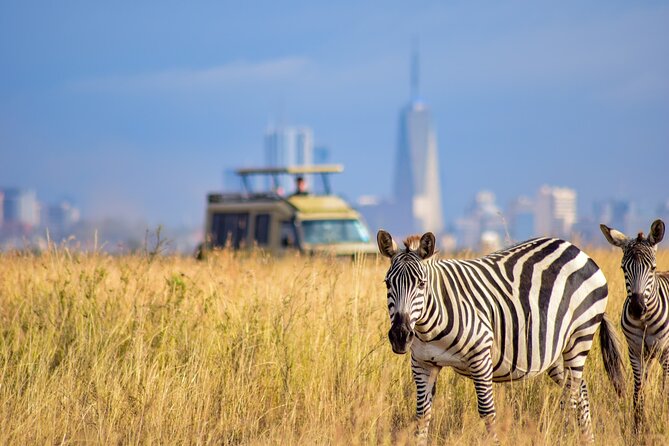5Hrs Nairobi National Park MorningEvening gamedrive 4x4 vehicle - Park entry and the payment issue