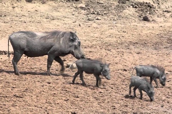 6-Day Kenya and Tanzania safari - Two nights in the Serengeti