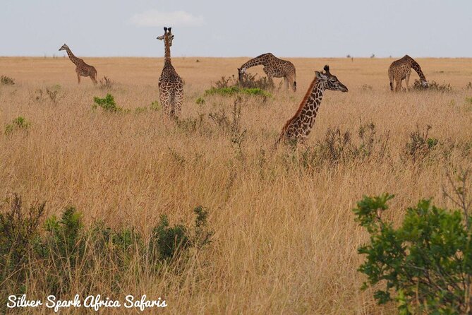 6-Day Maasai Mara Reserve, Lake Naivasha, Amboseli National Park - Day Three: Lake Naivasha and Hell’s Gate