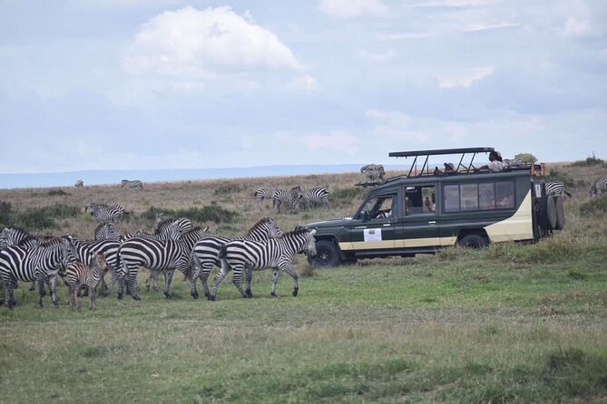 6 Day Nairobi-Amboseli-Maasai Mara Private Semi Luxury Tour - Why this Kenya route works so well