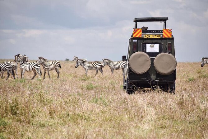 6 Day Nairobi-Amboseli-Maasai Mara Private Semi Luxury Tour - Day 3: The long road to Lake Nakuru
