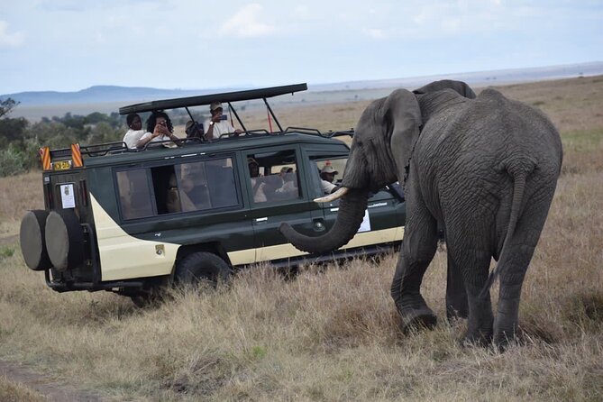 6 Day Nairobi-Amboseli-Maasai Mara Private Semi Luxury Tour - Day 4: From Nakuru through the Mau Forest to the Mara
