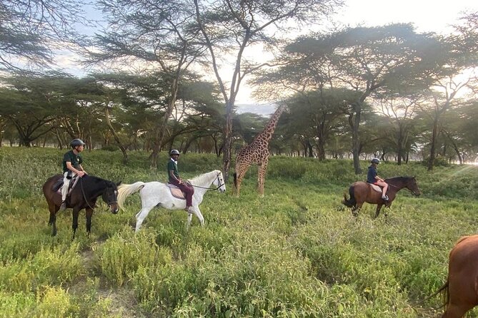 6 Day Nairobi-Amboseli-Maasai Mara Private Semi Luxury Tour - Day 2: A full day in Amboseli