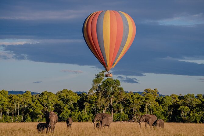 6-Day Samburu, Lake Nakuru, and Masai Mara Safari - Day six: One last drive and the return to Nairobi
